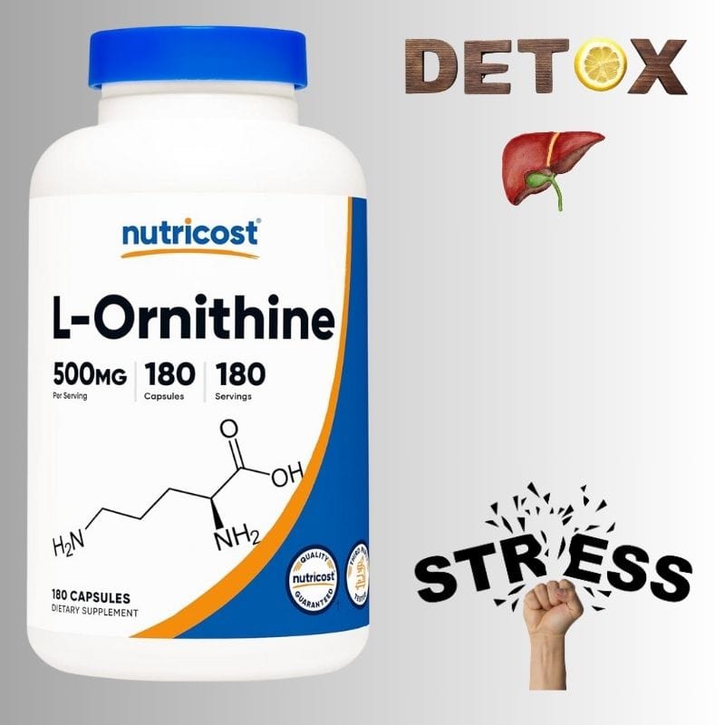 L ორნიტინი (L-Ornithine) – ფიზიკური დაღლილობის შესამცირებლად და ამტანობის გასაუმჯობესებლად, განსაკუთრებით სპორტული დატვირთვისას - ამერიკული მწვანე აფთიაქი