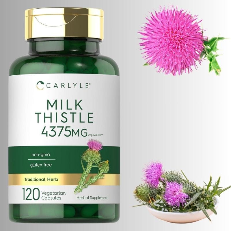 ბაყაყურა (Milk Thistle) – ღვიძლის ბუნებრივი დამცავი და გამწმენდი მცენარეული ექსტრაქტი, დეტოქსისა და ანტიოქსიდანტური მხარდაჭერისთვის, ამერიკული მწვანე აფთიაქი