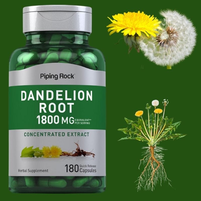 ბაბუაწვერას ფესვის ექსტრაქტი (Dandelion Root Extract) — შარდსასქესო სისტემის მხარდაჭერა და ზედმეტი სითხის ბუნებრივი გამოდევნა მცენარეული ექსტრაქტით — ამერიკული მწვანე აფთიაქი