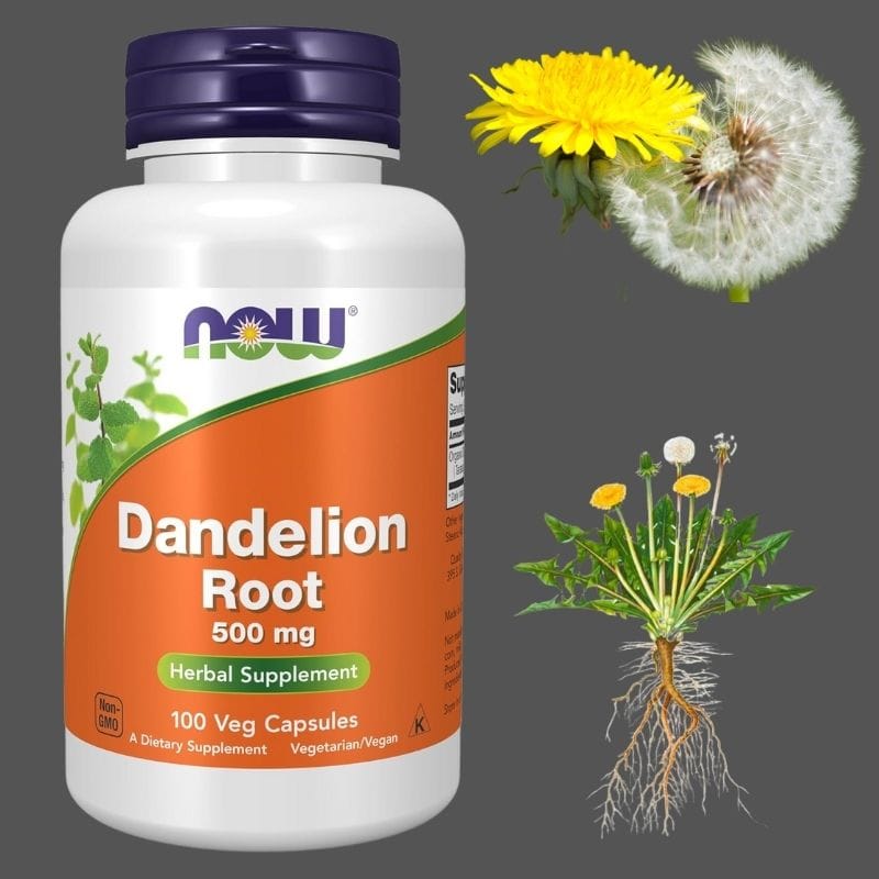 ბაბუაწვერას ფესვები (Dandelion Root) — შარდსასქესო სისტემის ბუნებრივი მხარდაჭერა და ზედმეტი სითხის გამოდევნის დახმარება — ამერიკული მწვანე აფთიაქი