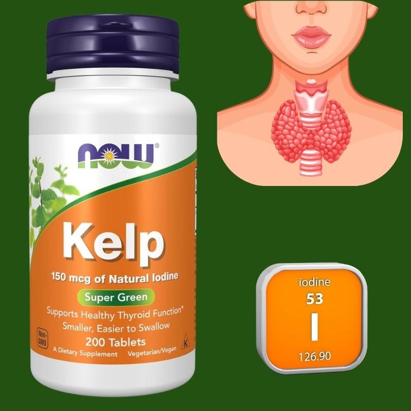 კელპი (Kelp) - ფარისებრი ჯირკვლის მხარდამჭერი იოდიანი დანამატი, ამერიკული მწვანე აფთიაქი