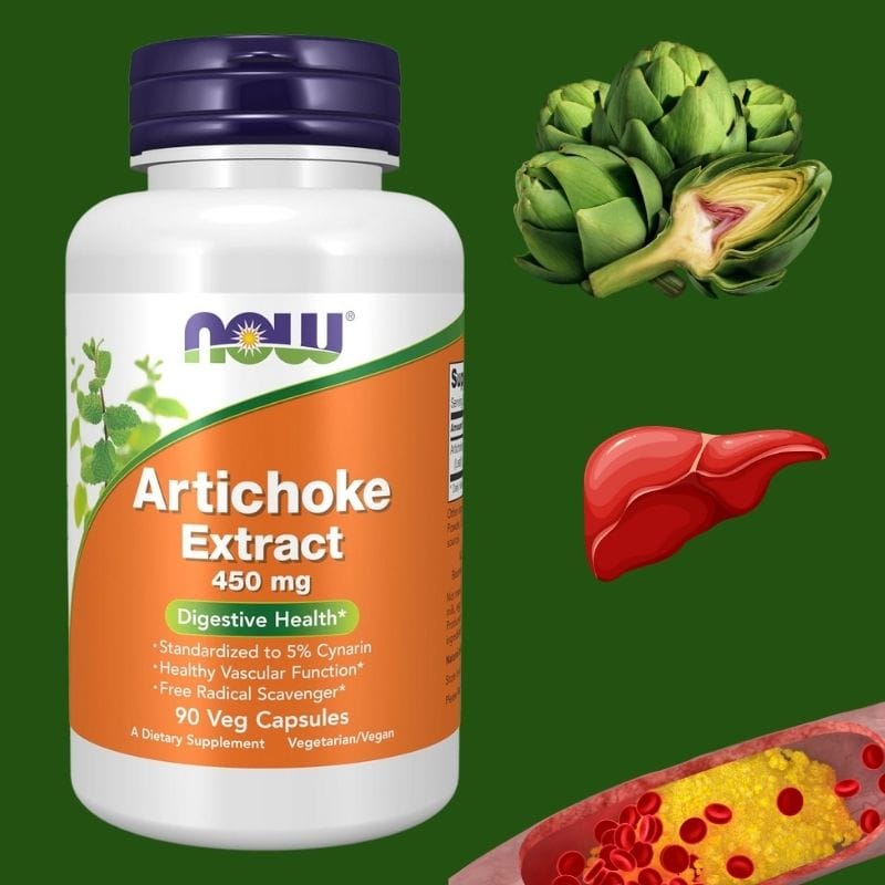 არტიშოკი (Artichoke) – არტიშოკის ექსტრაქტი ქოლესტერინის დონის მხარდასაჭერად და ღვიძლის ფუნქციის გასაუმჯობესებლად, ამერიკული მწვანე აფთიაქი