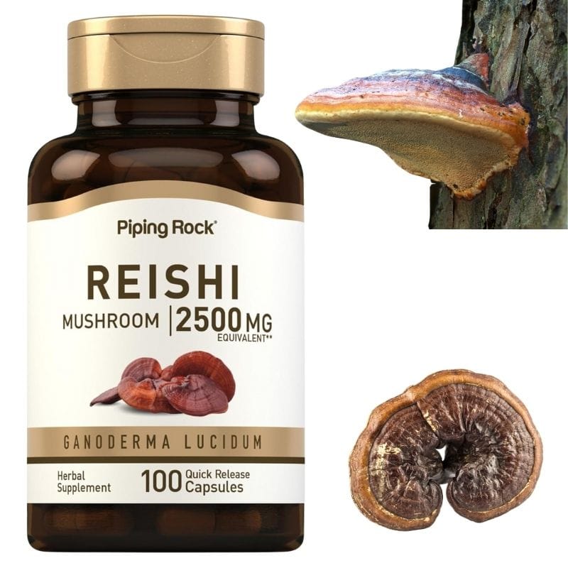 „რეიში სოკო (Reishi Mushroom) — იმუნიტეტის მხარდამჭერი ბუნებრივი საშუალება | ამერიკული მწვანე აფთიაქი“