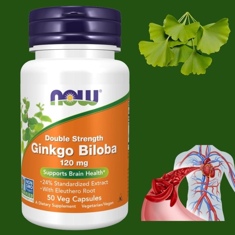 გინკგო ბილობა -50 capsules (Ginkgo Biloba) – სისხლის მიმოქცევის ბუნებრივი მხარდაჭერა – ამერიკული მწვანე აფთიაქი