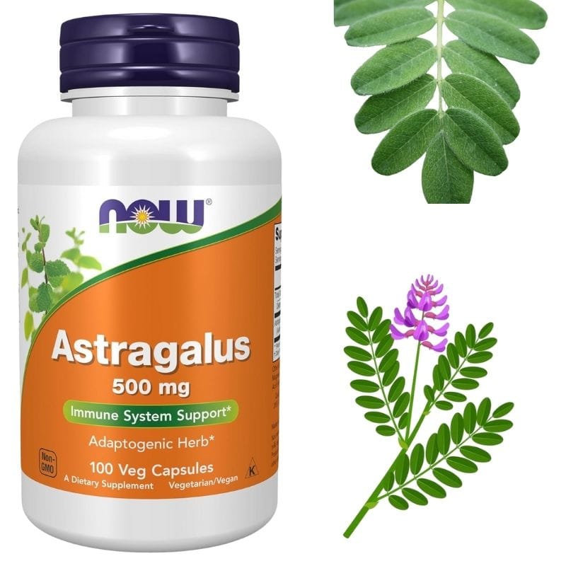 "🌿 ასტრაგალუსი (Astragalus Extract) – თირკმლების ფუნქციის ბუნებრივი მხარდაჭერა და იმუნური სისტემის გაძლიერება – ამერიკული მწვანე აფთიაქი"