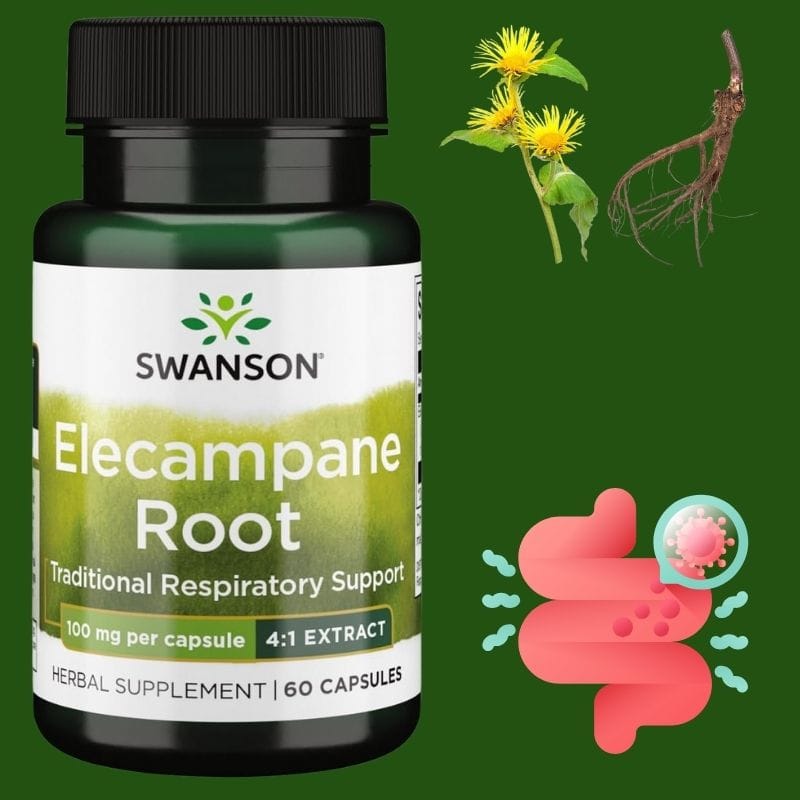 კულმუხოს ფესვი (Elecampane Root) კუჭ-ნაწლავის სისტემის ჯანმრთელობისთვის — ბუნებრივი მცენარეული დანამატი საჭმლის მონელების მხარდასაჭერად | ამერიკული მწვანე აფთიაქი