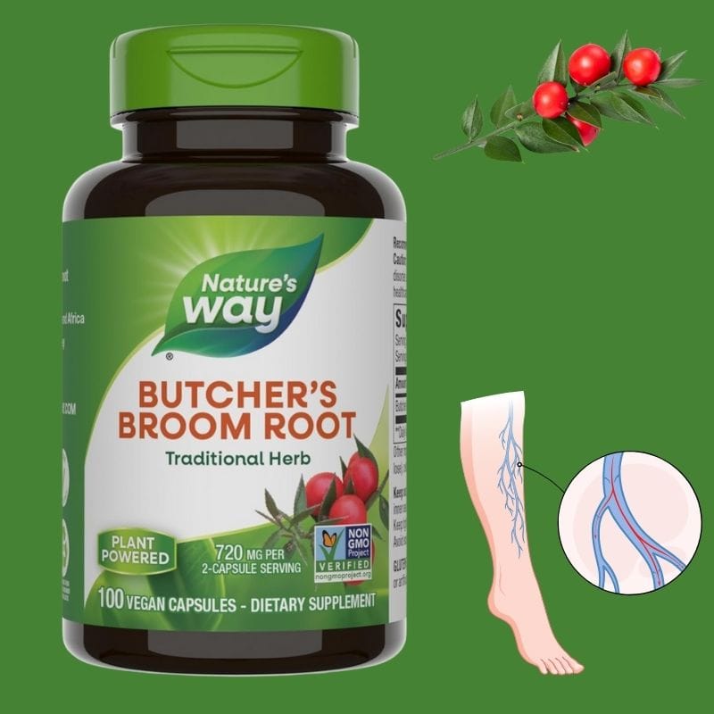თაგვისარა (Butcher’s Broom Root) – სისხლის მიმოქცევის გაუმჯობესება, ვენების ტონუსისა და ქვედა კიდურებში სისხლის დინების მხარდასაჭერად | ამერიკული მწვანე აფთიაქი 💚