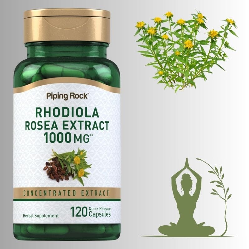 „როდიოლა (Rhodiola) — ბუნებრივი ენერგიისა და ტონუსის გამაძლიერებელი | ამერიკული მწვანე აფთიაქი“