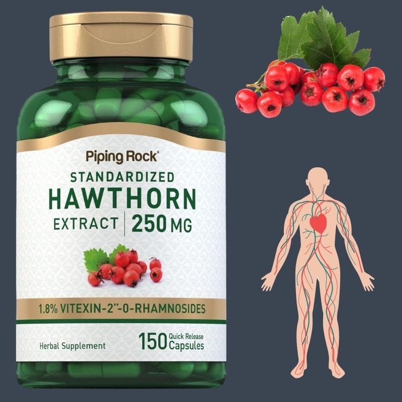 წითელი კუნელის ექსტრაქტი (Hawthorn Extract) – გულის ჯანმრთელობისა და სისხლის მიმოქცევის მხარდამჭერი სტანდარტიზებული მცენარეული ფორმულა აშშ-დან | ამერიკული მწვანე აფთიაქი“