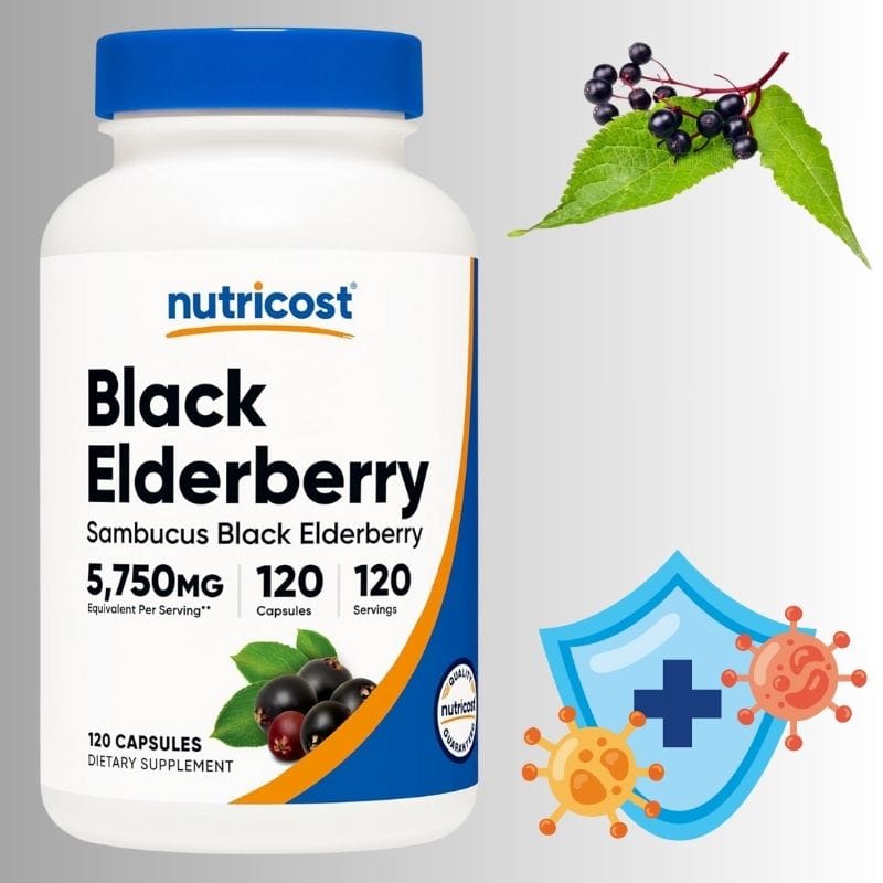 „შავი ანწლი (Black Elderberry, Sambucus nigra) – იმუნური სისტემის მხარდამჭერი ბუნებრივი ანტივირუსული ფორმულა აშშ-დან | ამერიკული მწვანე აფთიაქი“
