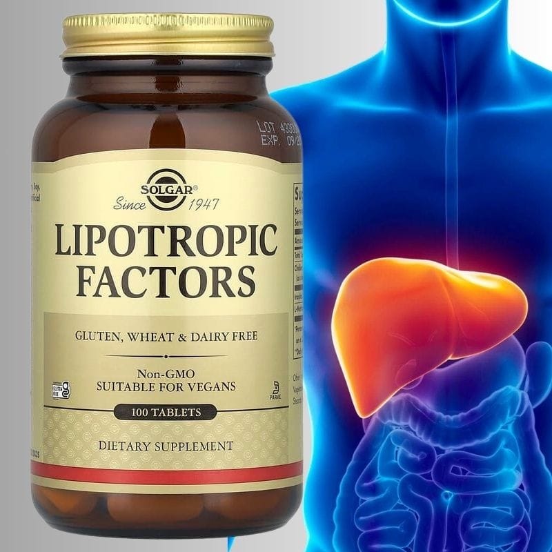 ლიპოტროპული ფაქტორი – Lipotropic Factors – ღვიძლის ფუნქციის გაძლიერებისა და დეტოქსისთვის | ამერიკული მწვანე აფთიაქი