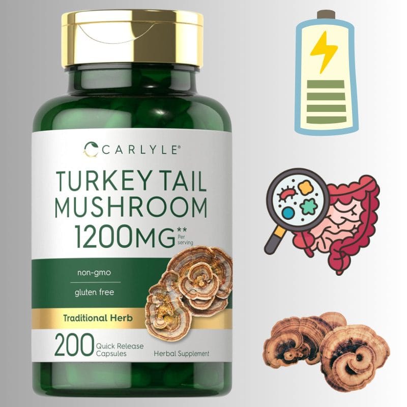 ინდაურის კუდა სოკო (Turkey Tail Mushroom) – იმუნიტეტის გაძლიერება, ნაწლავის ფლორის აღდგენა, ანთების და ინფექციების წინააღმდეგ დაცვა, ანტივირუსული და ანტიმიკრობული მოქმედება - ამერიკული მწვანე აფთიაქი