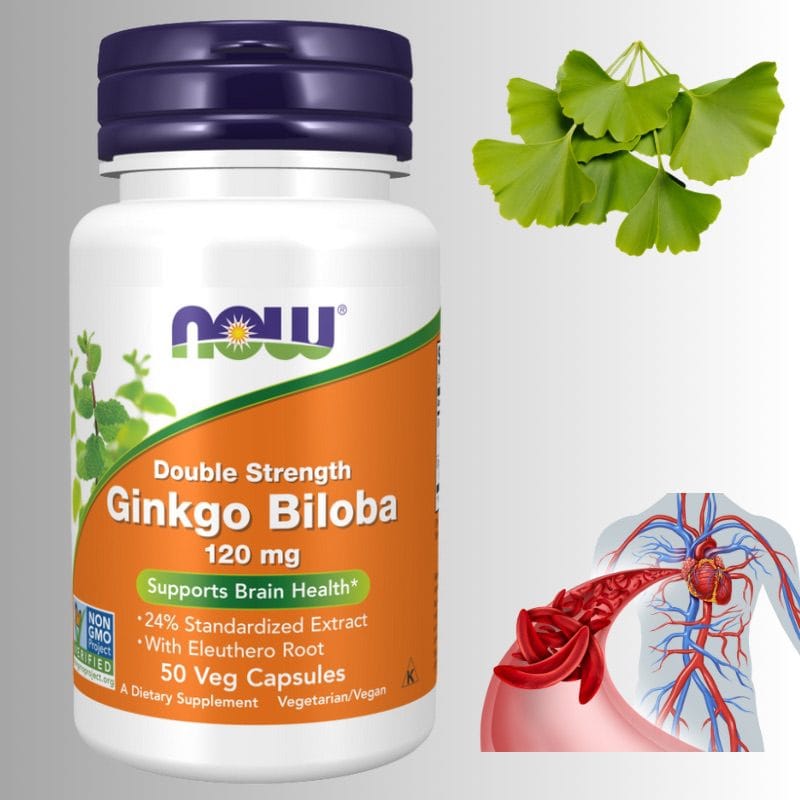გინკგო ბილობა -50 capsules (Ginkgo Biloba) – სისხლის მიმოქცევის ბუნებრივი მხარდაჭერა – ამერიკული მწვანე აფთიაქი